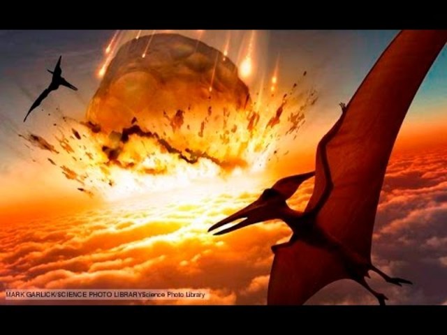 TERTIARY Period, 65 Million Years Ago