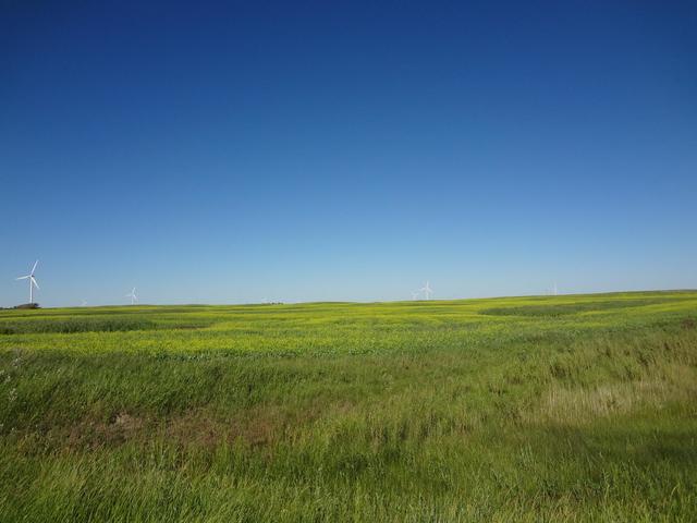 50 Million Years Ago