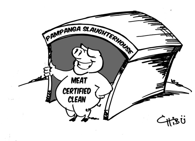 As a result, "Congress passed the Meat Inspection Act", within 1906 because manufacturers did not advertise their products truthfully.
