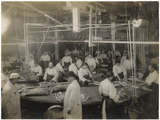 Most of Chicago's packing house workers were recent immigrants