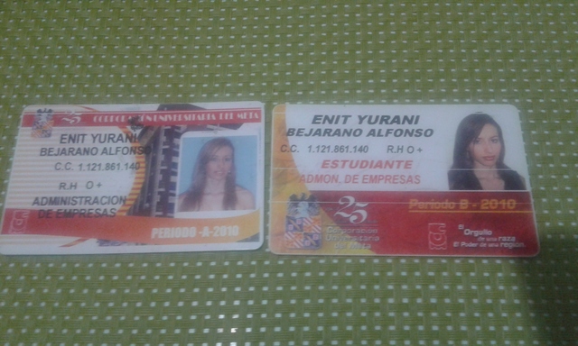 ESTUDIOS DE PREGRADO