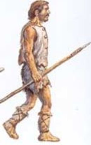 El ser humano moderno ( Homo sapiens sapiens)