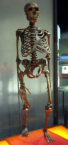 Homo sapiens nearthentalensis