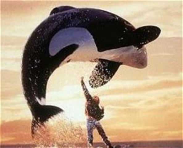 Free Willy