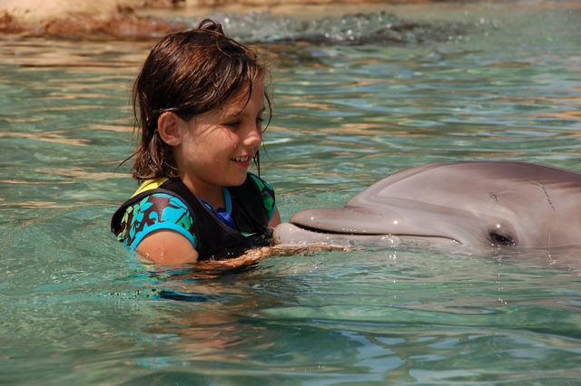 I went to sea world.