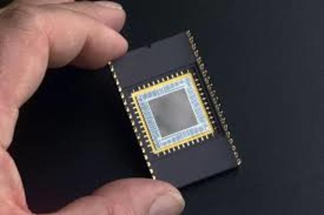 el microchip