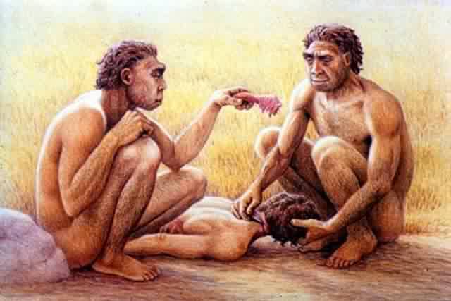 Homo Antecessor