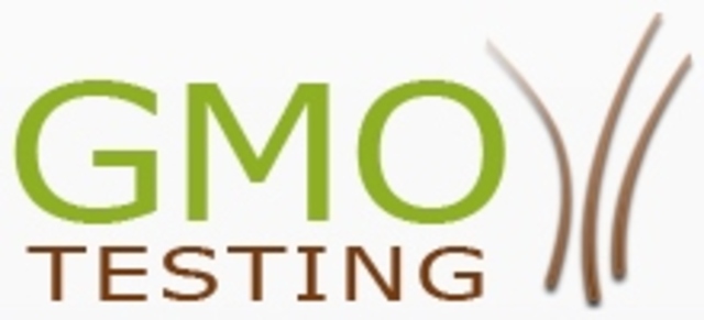 Current and New Approaches in GMO Detection: Challenges and Solutions