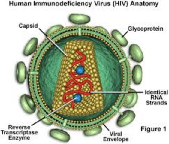 First Official Reporting of HIV