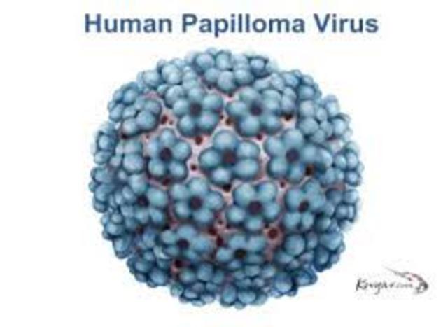 HPV Infection Rates Decline