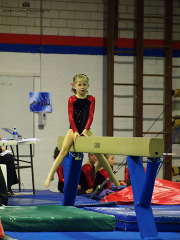 I started Gymnastics