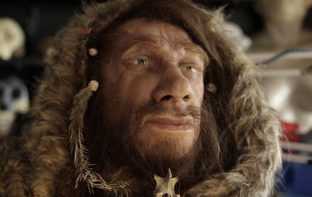 Homo sapiens neanderthalensis