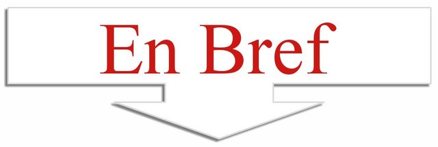 Festival des cultures urbaines, les murs parlent jusqu’au 24 juillet