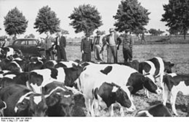 Administració militar soviètica a Alemanya