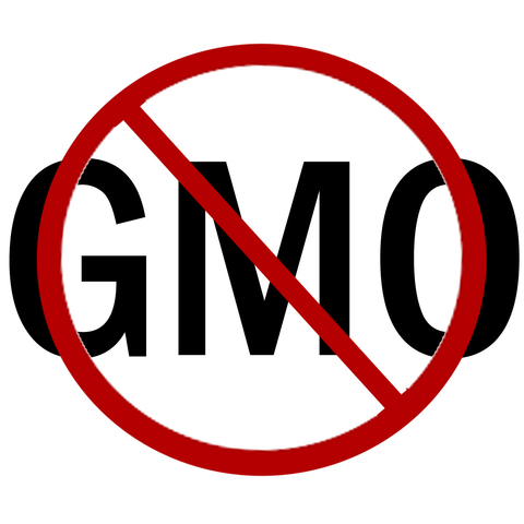 GMOs in 2001
