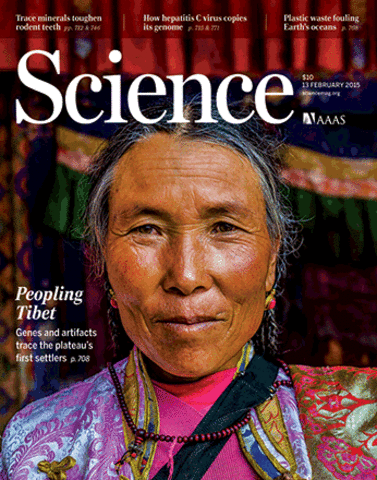 Plastic Waste Inputs From Land Into the Ocean