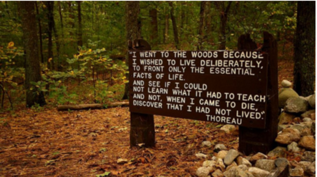 Literature / Henry David Thoreau, "Walden"