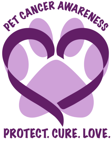 Increase of Wildlife Cancer: An Echo of Plastic Pollution