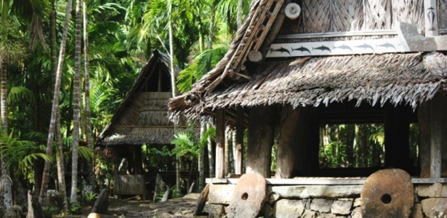 O primeiro surto do zika vírus no mundo.