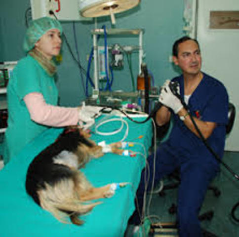 USO CITOSCOPIO EN CAVIDAD ABDOMINAL