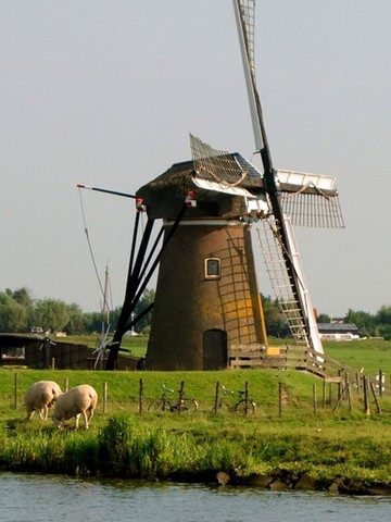 Es va concedir el vot a la dona