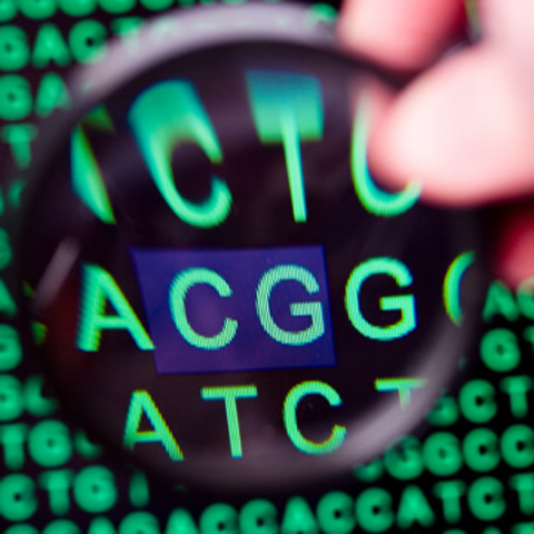 "Bermuda Principles"