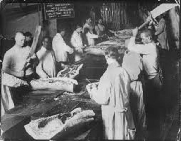 Immigrants became packing house workers