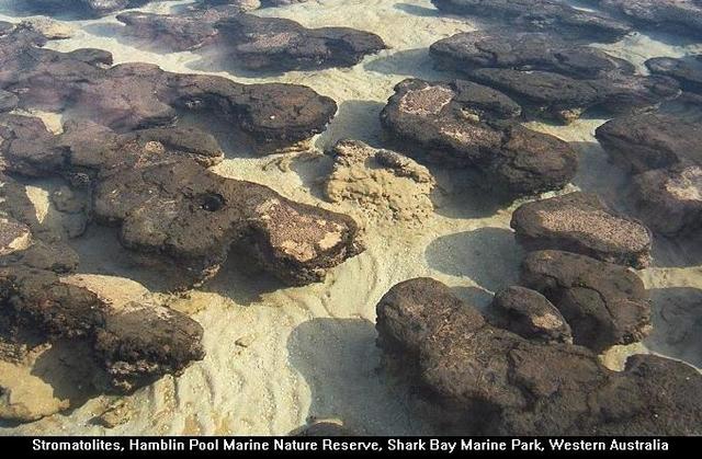 Archaen Eon 3.4-4 billion years ago