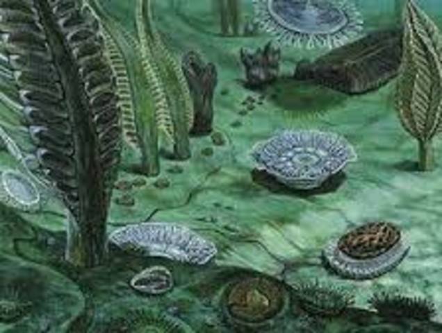 Proterozoic Eon 2.5 billion years ago