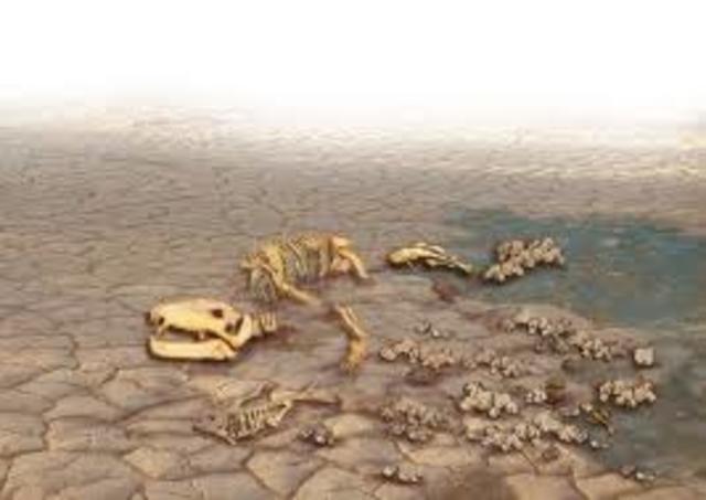 Paleozoic Era:  Permian Period 299 to 251 million years ago