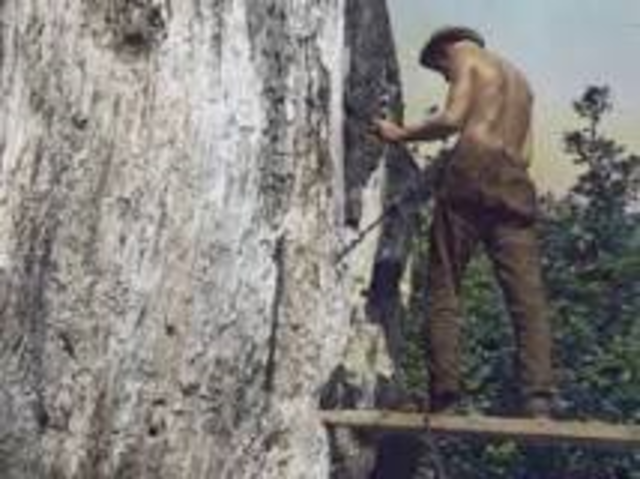 Civilian Conservation Corps (CCC)