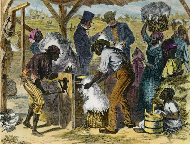 The invention of the cotton gin