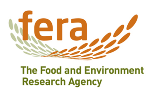 Federal Emergency Relief Administration  (FERA)