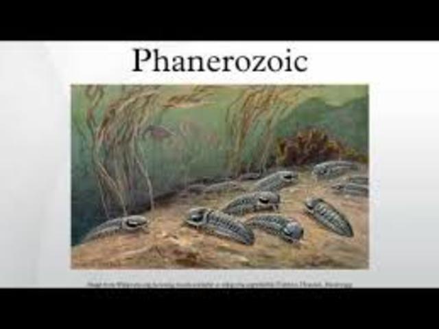 Phanerozoic eon: Paleozoic era 542million years ago-251 million years ago