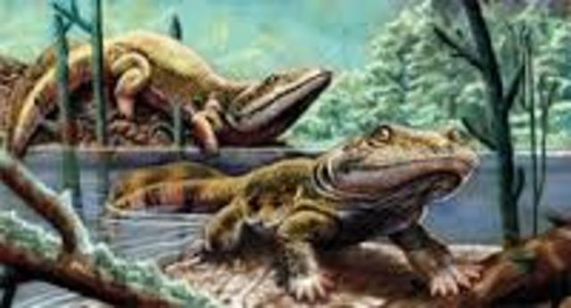 Paleozoic Era:  Permian Period 299 to 251 million years ago