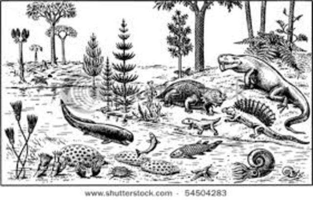 Paleozoic Era:  Permian Period 299 to 251 million years ago