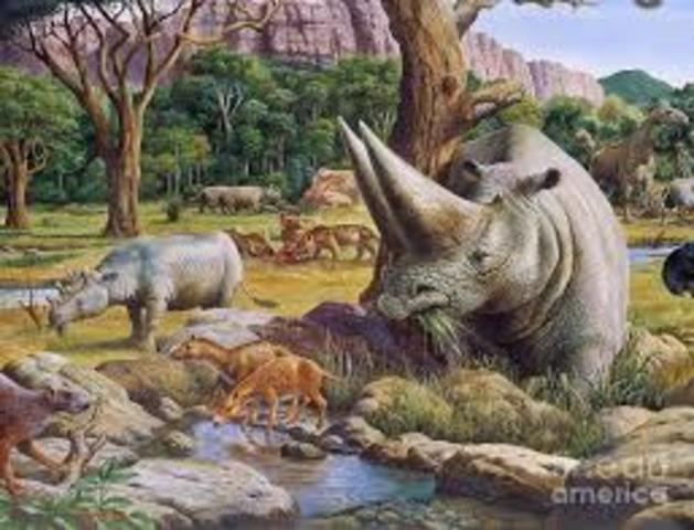 Cenozoic era: 65 million years ago