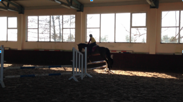 The first time I jumped on the horse