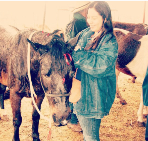 Mi primera psicoterapia con equinos