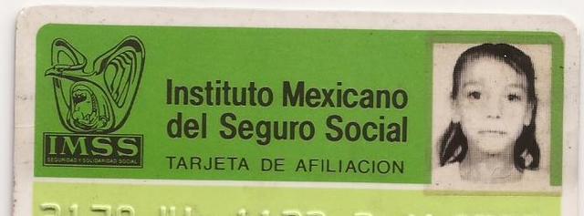 mi credencial del imss