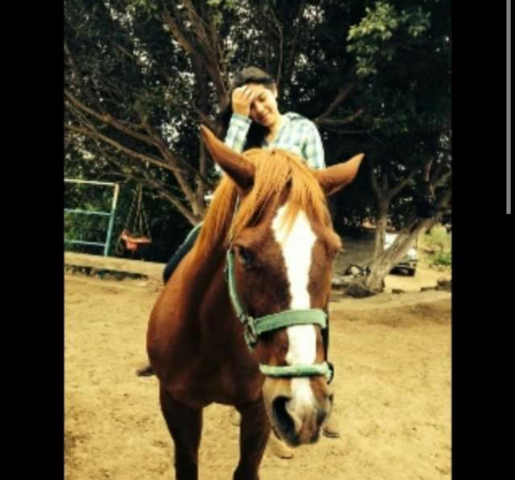 Despues de recuperacion