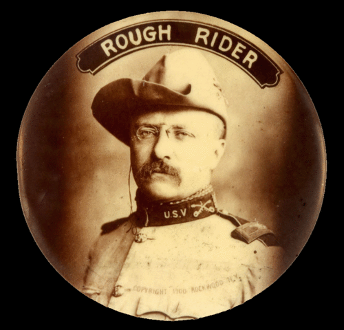 He organized the Rough Riders.