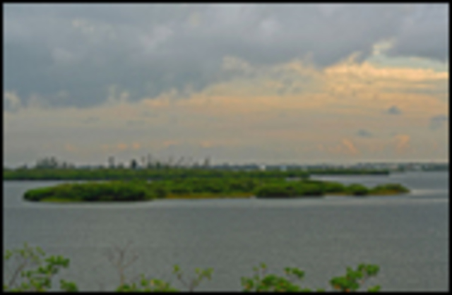 Pelican Island, Florida named first national wildlife refuge