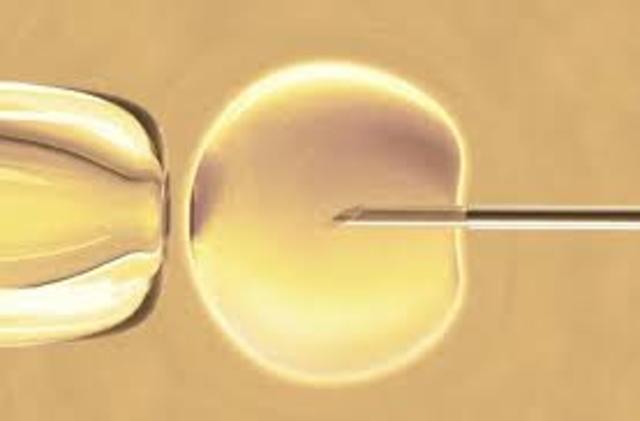 Fecundación animal in vitro