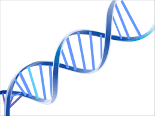 Desarrollo de la Genética