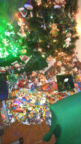 La primera navidad juntos