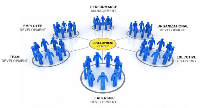 Organizational Development