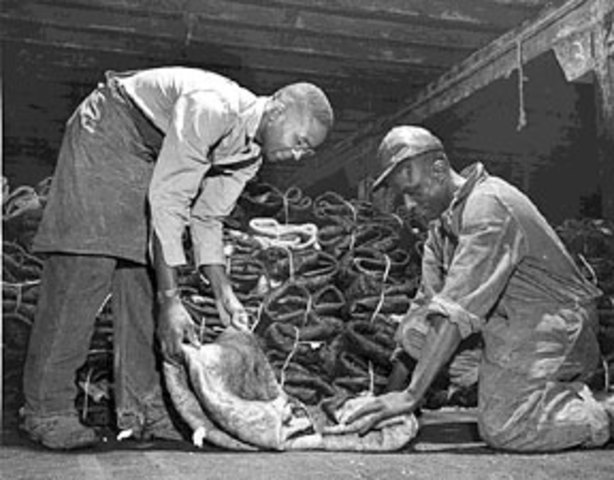 Four major meat packing companies brung out many small slaughterhouses.