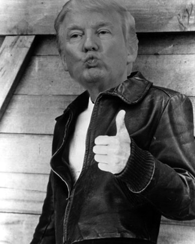 Memes Land 4 Lyf employs Bran Flakes as Vice-President