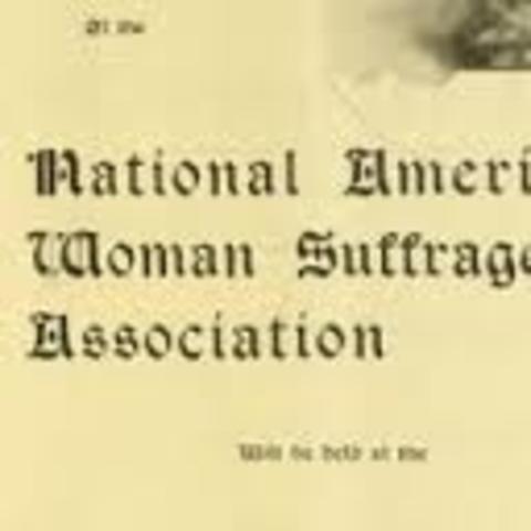National American Woman Suffrage Association
